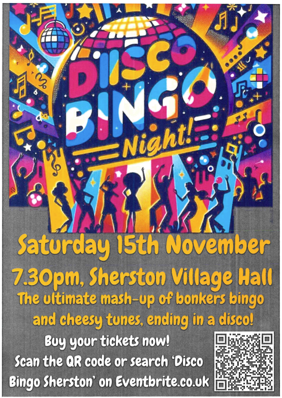 Disco + Bingo Night! Sherston Village Hall